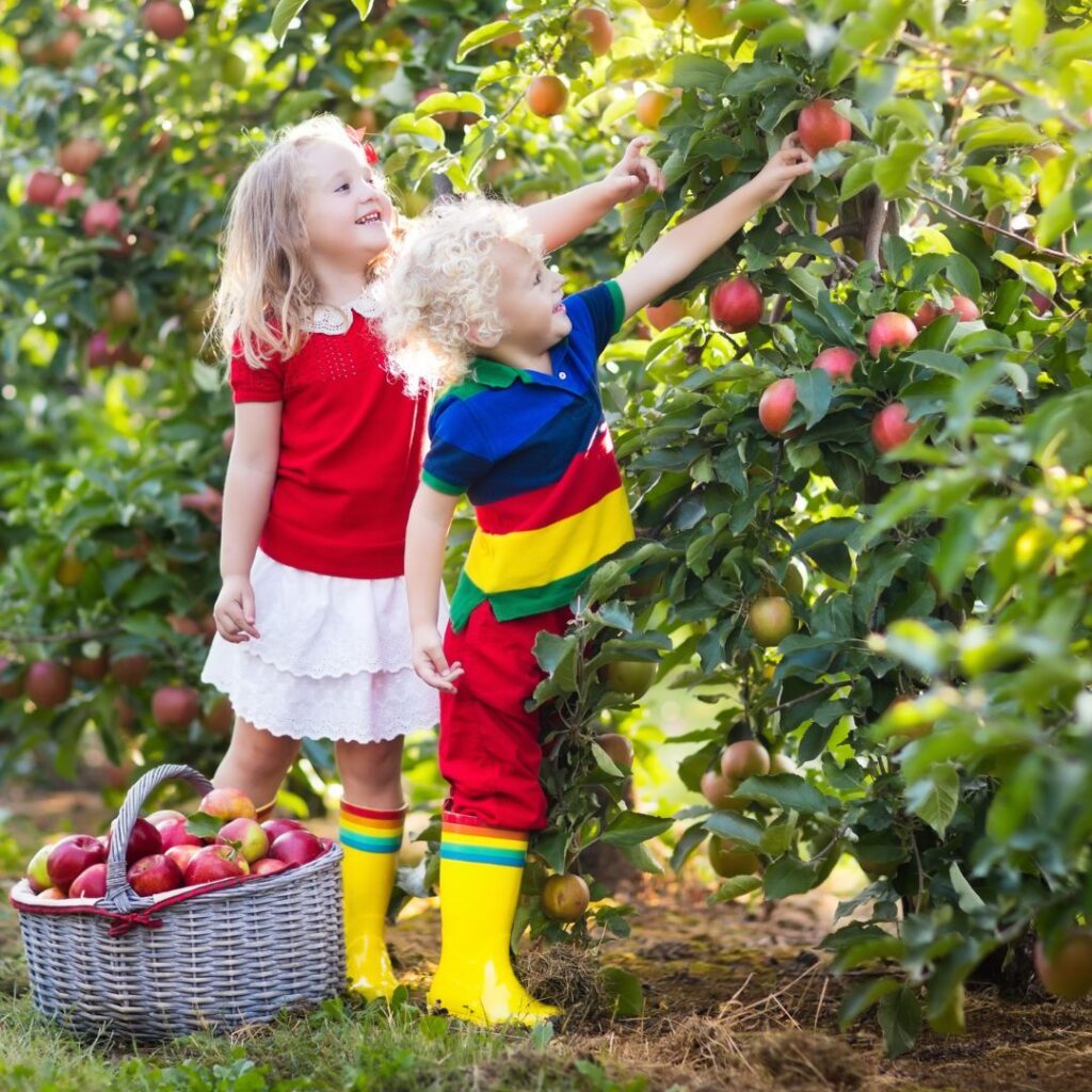 Unsere Vision paradiesgarten kinder ernten Äpfel