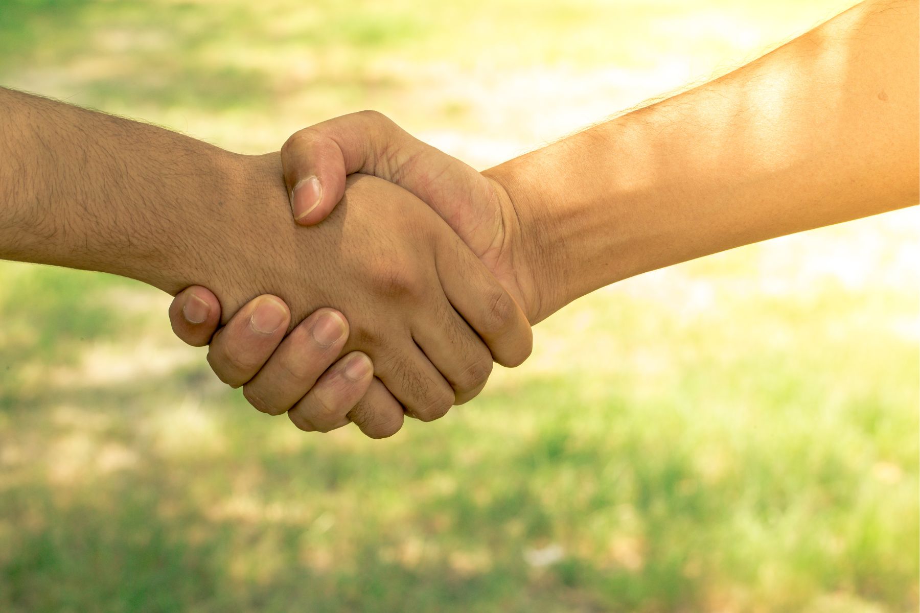 Paradiesgarten - Mitglied werden