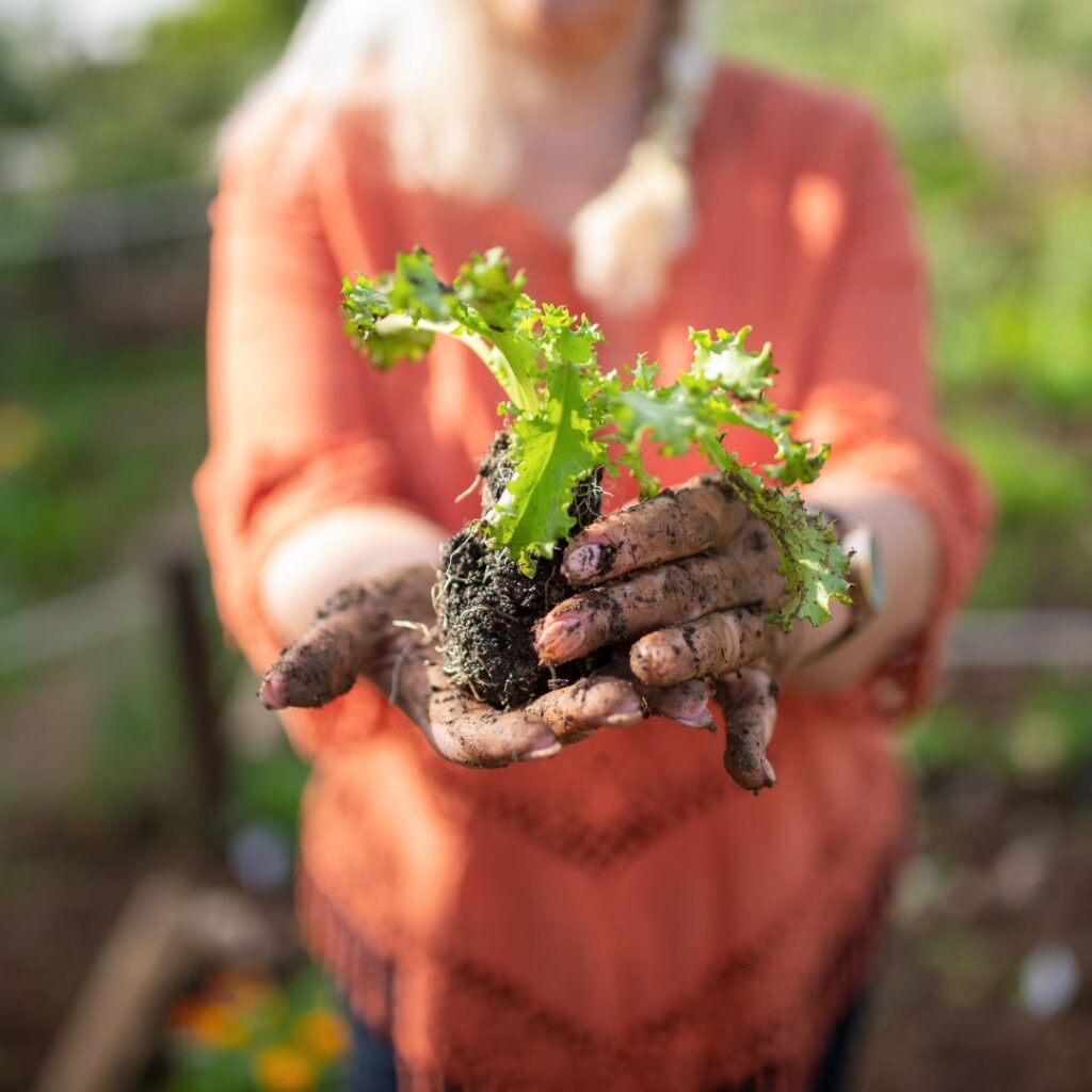 Home paradiesgarten warum