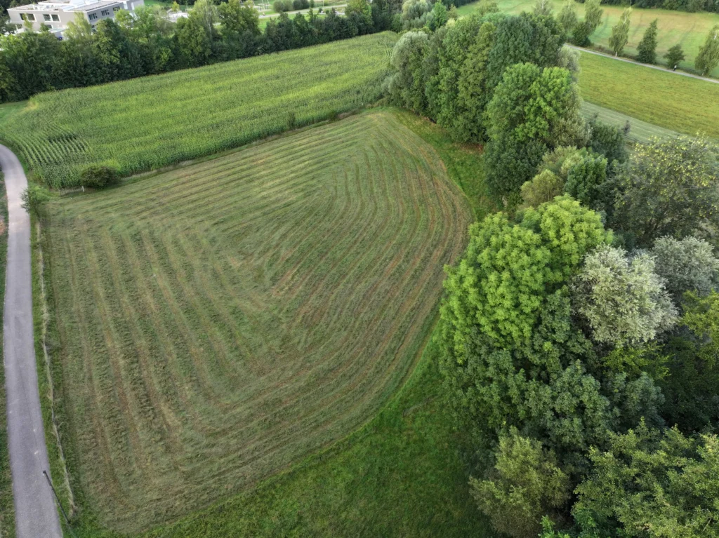 Paradiesgarten.de Dji 20240820190649 0071 D 1024x767