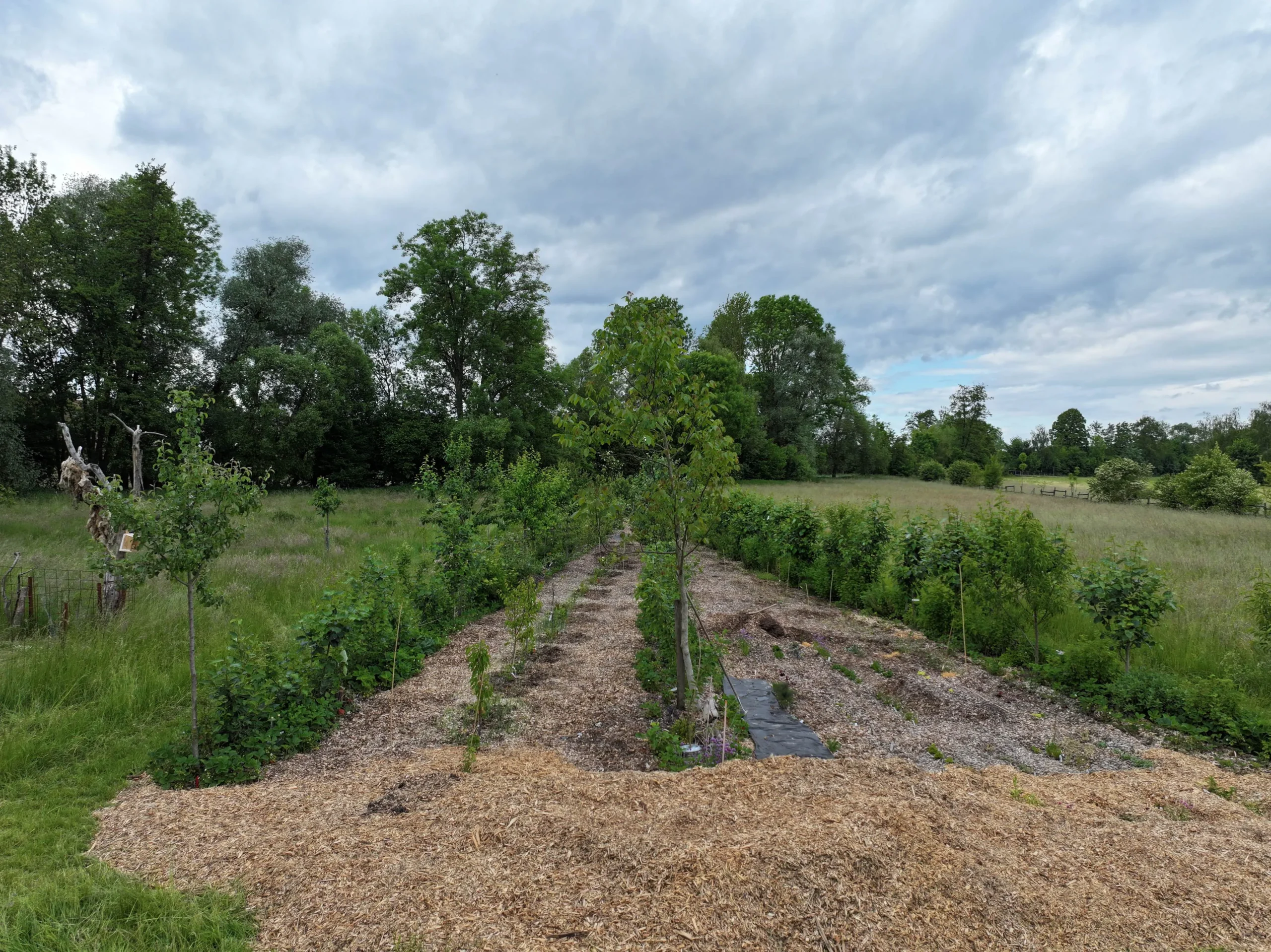 Paradiesgarten.de Dji 20250525175236 0097 D Scaled