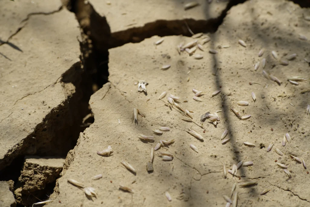 _DSC0735 Die Ausgangslage