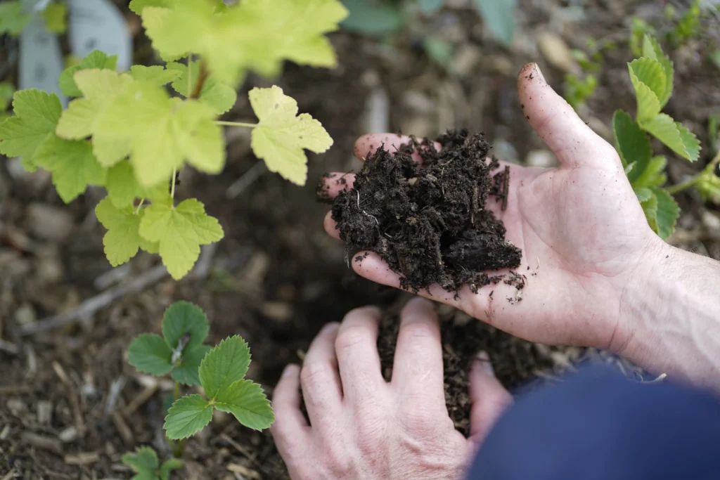 Paradiesgarten.de Dsc0789 1024x683