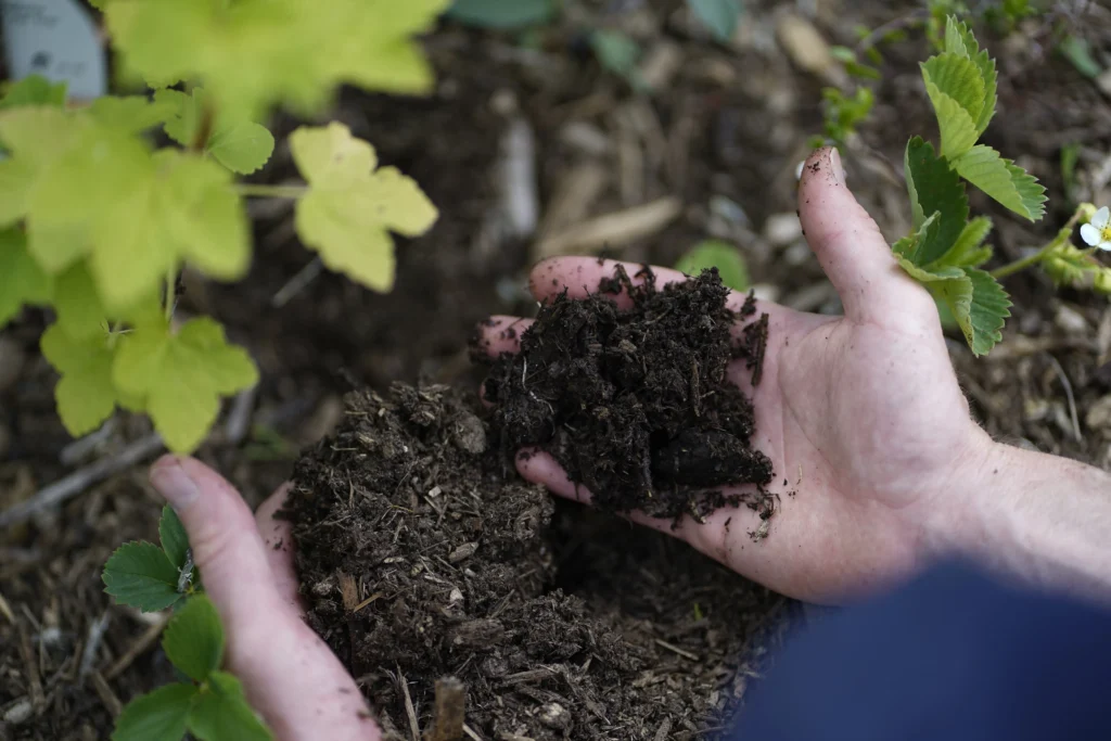 Boden regenerieren Boden regenerieren