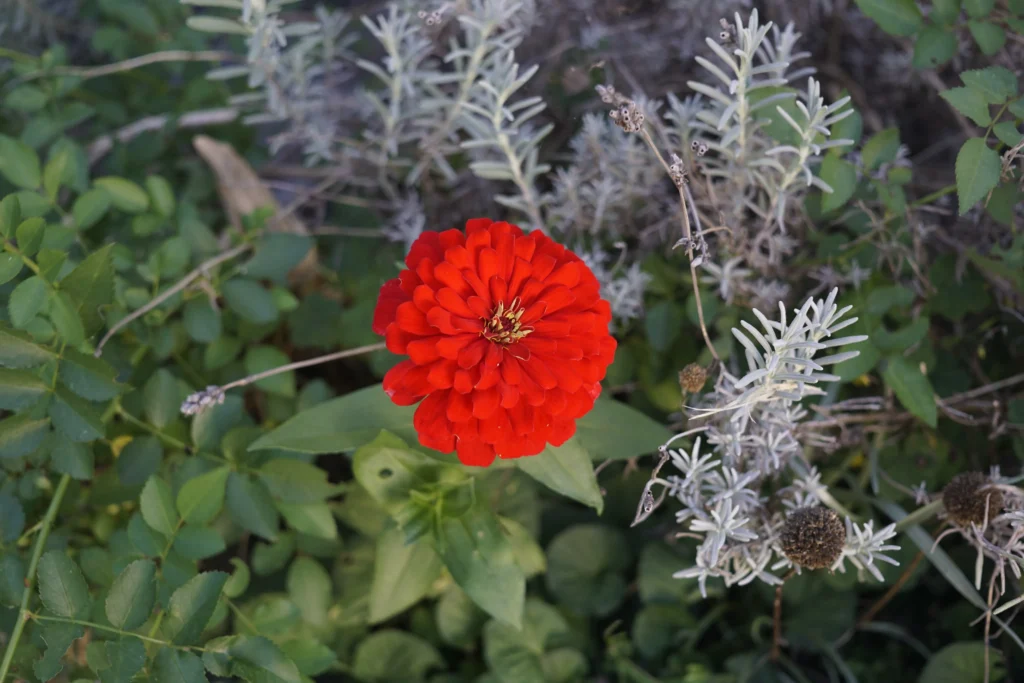 _DSC8670 Foto: Urs Mauk