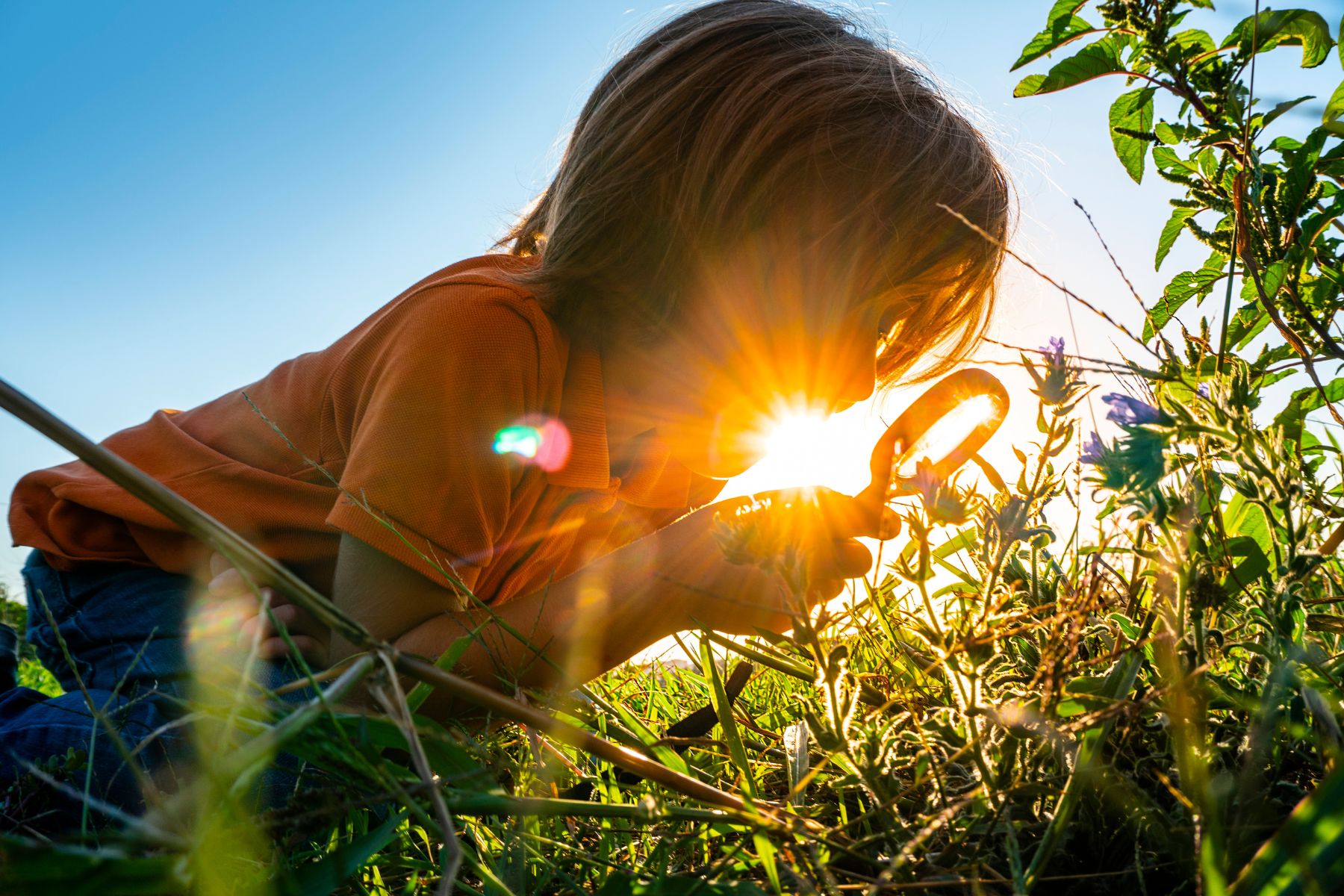 paradiesgarten forschung