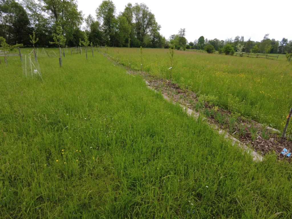 Mai 23 Paradiesgarten.de Mai 23 1024x768