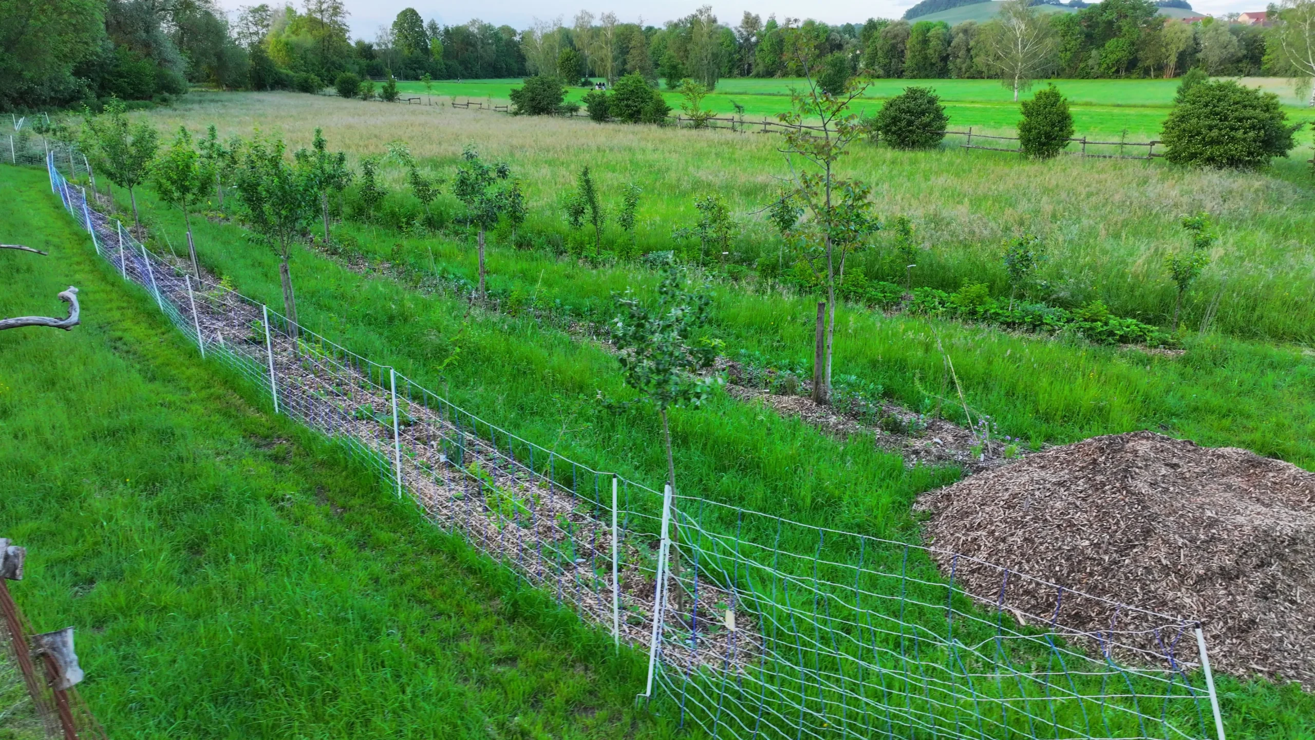 Paradiesgarten.de Mai 24 Scaled