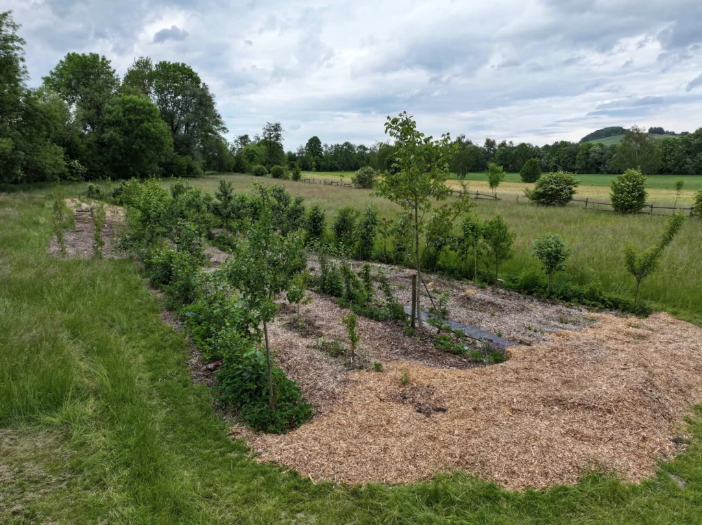 Der Paradiesgarten - Mai 2025 Der Paradiesgarten - Mai 2025