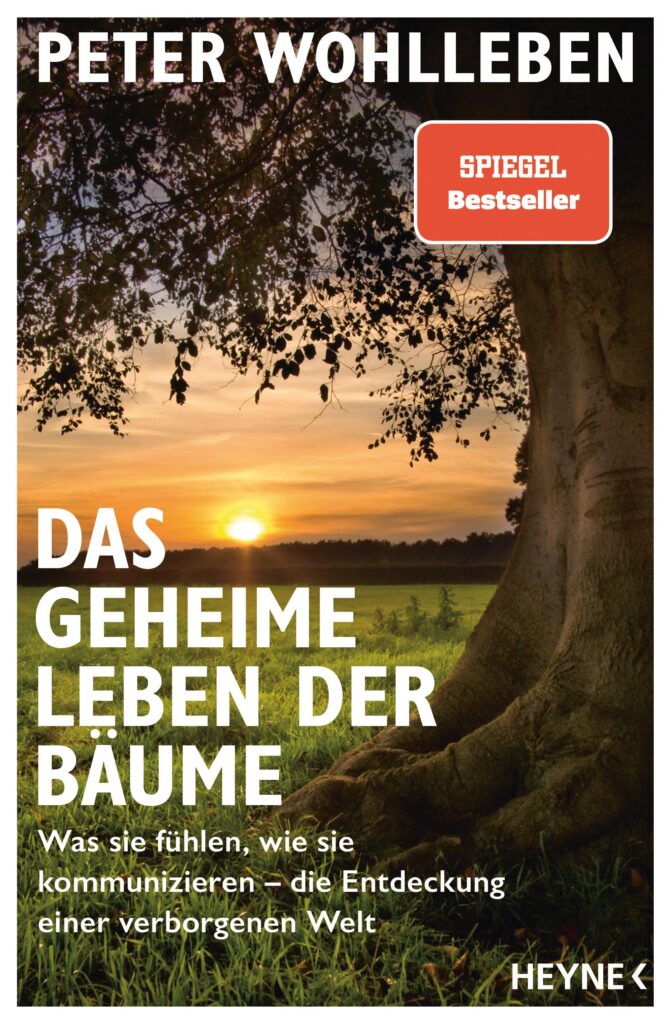 das geheime leben der baeume