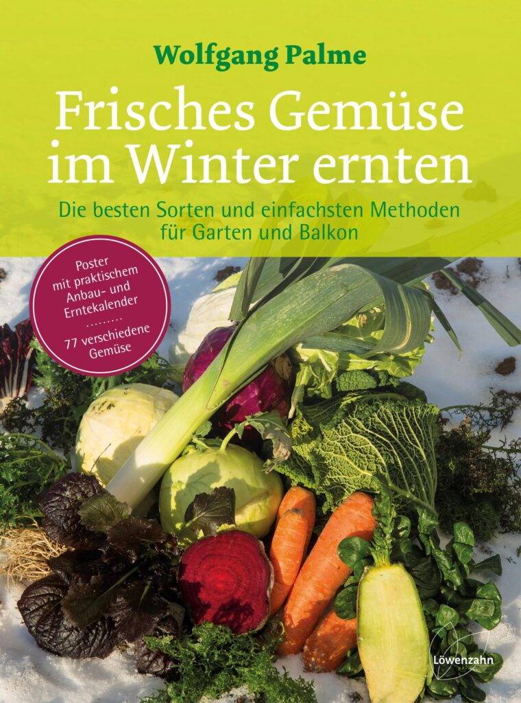frisches gemuese im winter ernten