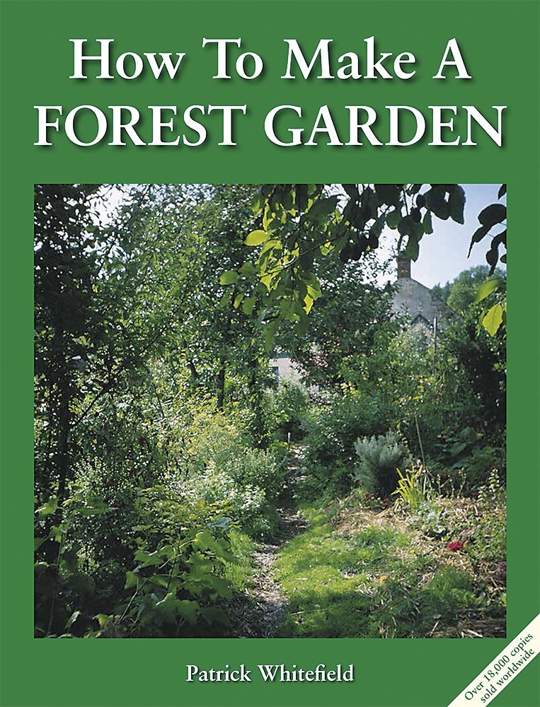 how to make a forest garden