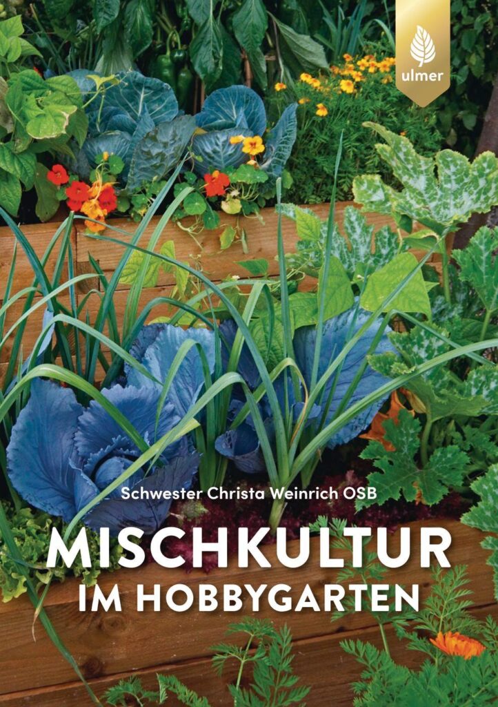 mischkultur im hobbygarten