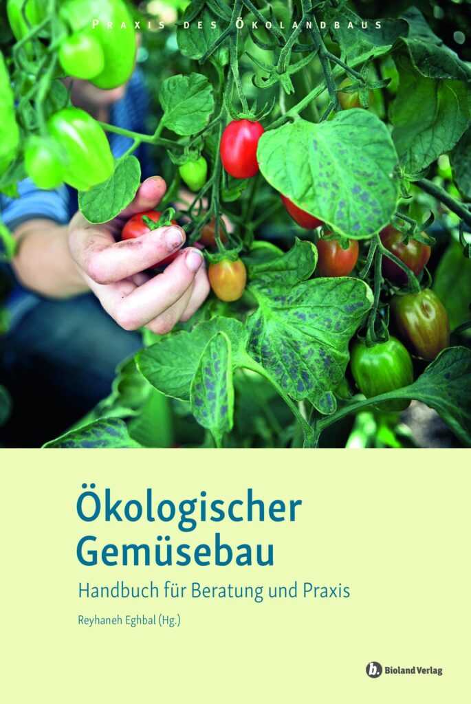 oekologischer gemuesebau