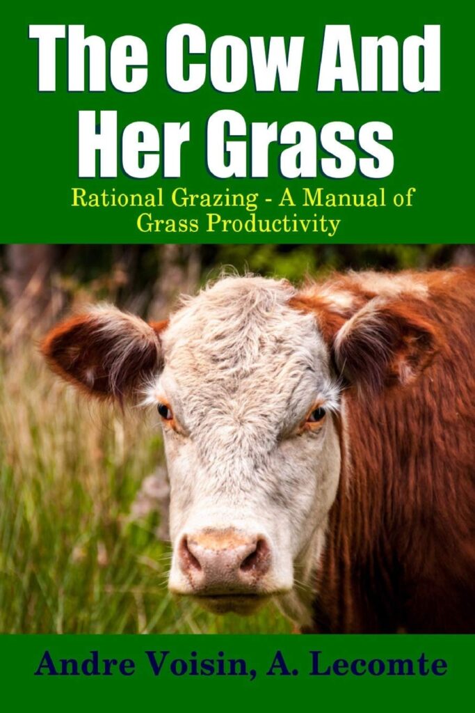 the cow and her grass